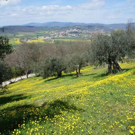 House In Umbria With Pool & Garden Views * Perugia